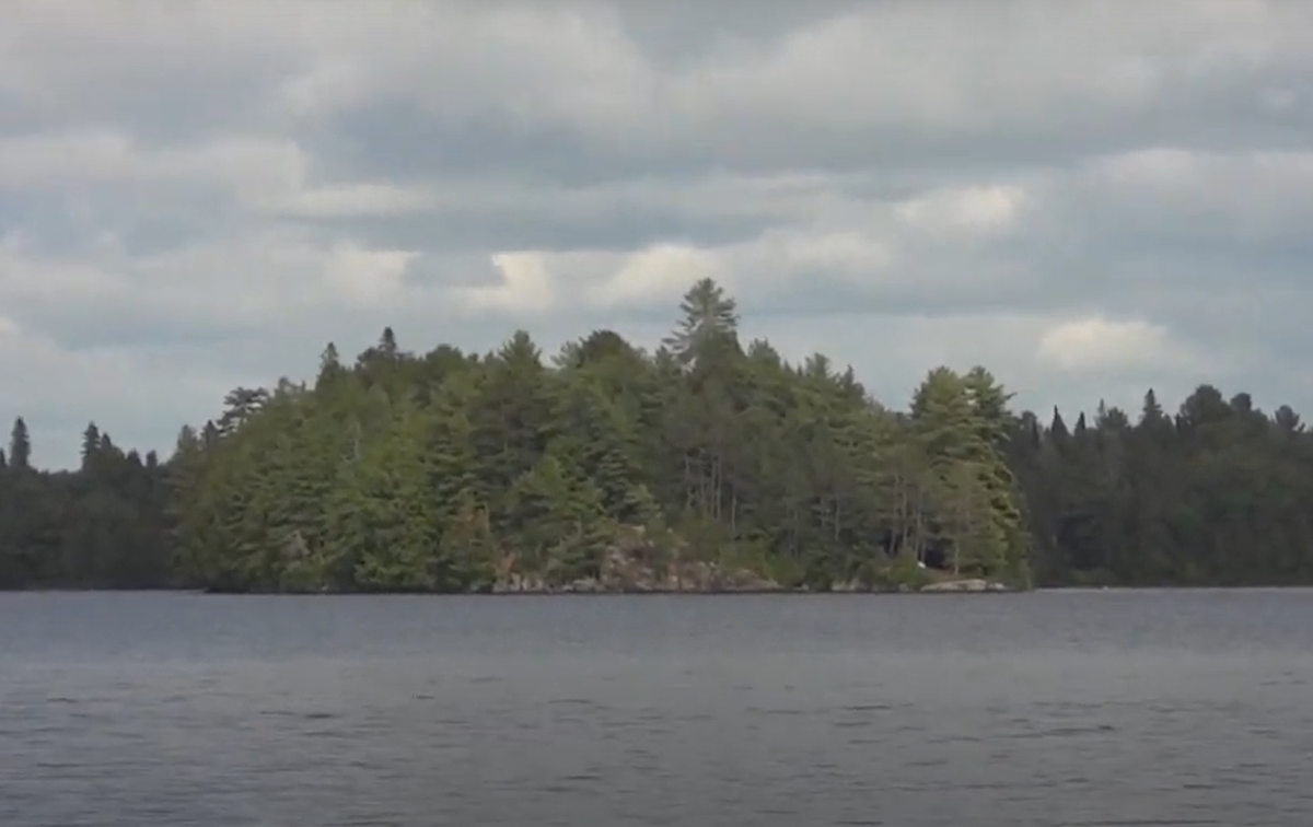 Hai người phụ nữ phát hiện ra xác con vật đã không thể tìm lại nó sau đó, người ta suy đoán rằng, xác sinh vật có thể đã bị nước cuốn trôi trong con lạch, hoặc bị động vật ăn xác thối ăn thịt. Ảnh: @Ian Tendy.