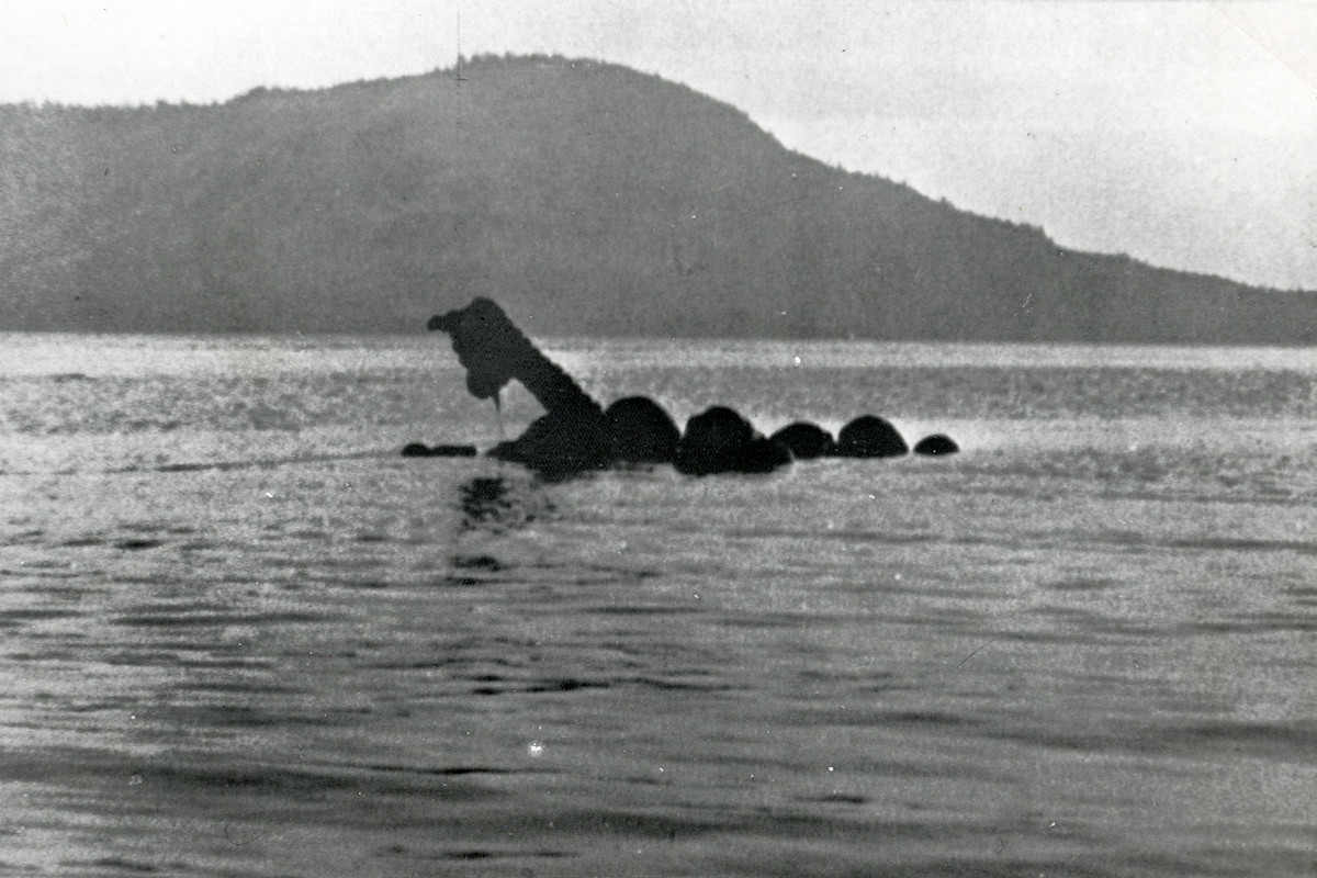 Một trong những sinh vật bí ẩn phổ biến của Canada là một con rắn biển, được cho là phát hiện gần British Columbia. Nó được gọi là Cadborosaurus, hay "Caddy". Ảnh: @Times Colonist. 