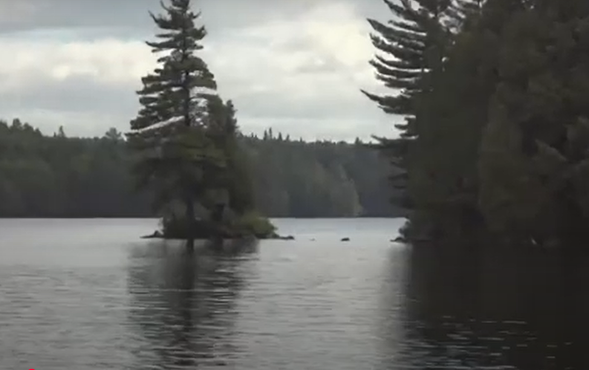 Vào năm 2010, hai người phụ nữ đang dắt chó đi dạo gần một cộng đồng người Oji-Cree ở Tây Bắc Ontario được gọi là Kitchenuhmaykoosib Inninuwug, tại Hồ Big Trout. Chú chó của họ đã phát hiện ra xác của sinh vật lạ trong một con lạch địa phương. Ảnh: @Reddit.