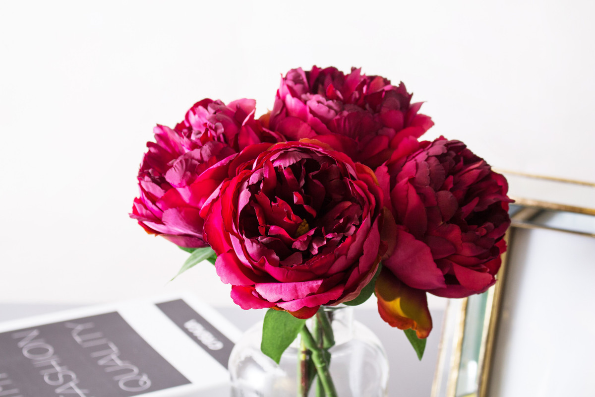 Tuổi Tuất: Vận thế chung: 4.2 điểm. Sự nghiệp: 4.2 điểm. Tình cảm: 4.1 điểm. Tài vận; 4.2 điểm. Sức khỏe: 4.4 điểm. Sự nghiệp: cơ bản ổn định. Tài vận: cẩn thận trong quản lý tài chính, cân nhắc kỹ trước khi đầu tư. Tình cảm: tình cảm lứa đôi ngọt ngào, nồng thắm. Sức khỏe: chú ý đến bệnh dị ứng. Quý nhân tuần này: tuổi Mão, tiểu nhân tuần này: tuổi Thân. Lời khuyên: chú ý đến chứng dị ứng. Ảnh:lanabyancafloral.com