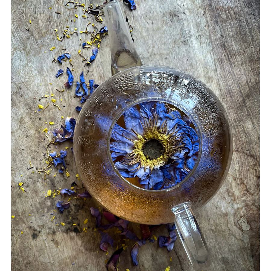 Tuy nhiên, một phân tích gần đây của các nhà nghiên cứu tại Đại học California, Berkeley phát hiện, các mặt hàng này thường không chứa hoa sen xanh, mà bao gồm một loại hoa súng trông giống như vậy, có hàm lượng nuciferine thấp hơn nhiều và không có đặc tính hướng thần cao. Ảnh: @Genuine Selection.