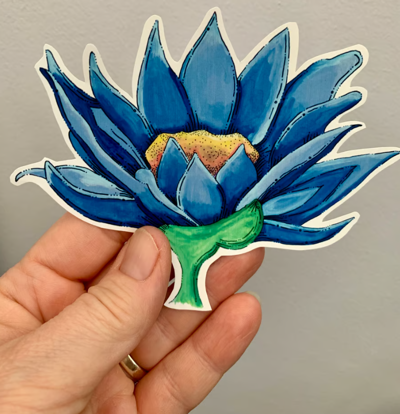 Năm 2000, chất apomorphine được công nhận là có tiềm năng điều trị chứng rối loạn cương dương ở nam giới. Điều này cho thấy, người Ai Cập cổ đại đã phát hiện ra điều này trước, khi họ sử dụng hoa sen xanh để tăng cường ham muốn tình dục. Ảnh: @Casa Alchemista Botanica.