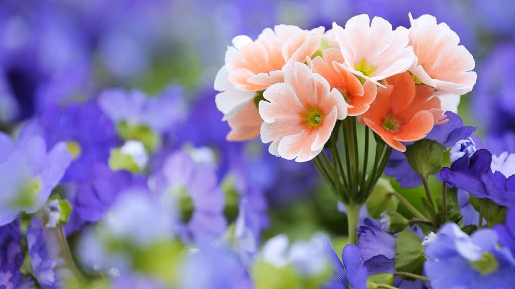 Tuổi Tý: Người tuổi Tý trong vòng 60 ngày tới, luôn cố gắng nỗ lực tìm kiếm các nguồn tài chính, hơn nữa do vận thế có sự chuyển biến mạnh mẽ nên tiền trong túi con giáp này sẽ ngày một nhiều . Người tuổi Tý sẽ không phải đau đầu về tiền bạc trong một thời gian dài. Ảnh: baidu.com. (Bài viết chỉ mang tính tham khảo, cung cấp nội dung trắc nghiệm vui cho bạn đọc).