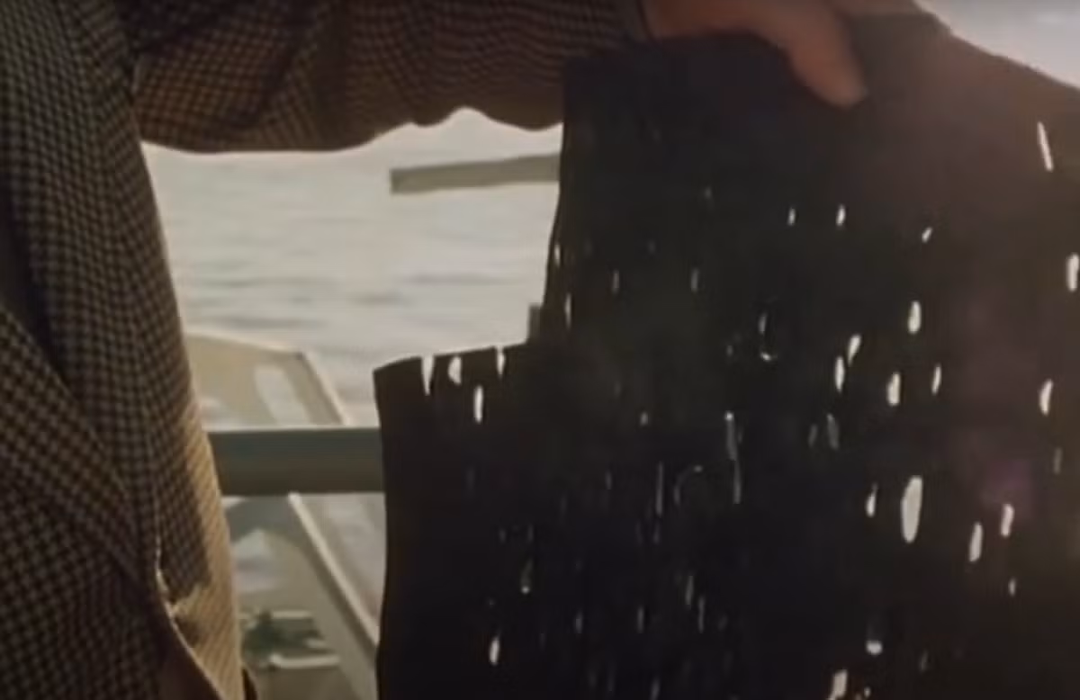 Nhà sinh vật học hải quân FG Wood, người đã điều tra những chiếc móng vuốt, không thể loại trừ khả năng đây là một loài mực khổng lồ mới chưa được giới khoa học phát hiện. Ảnh: @BFTV.