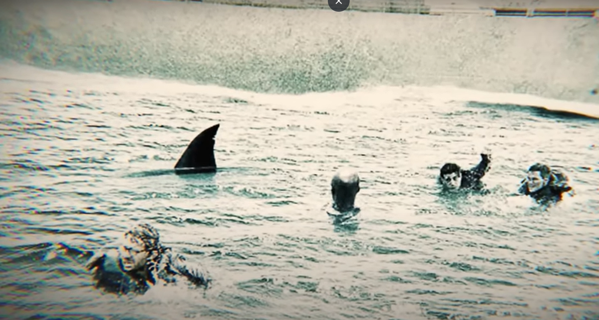 Bầy cá mập sau khi tấn công những người chết và bị thương dưới biển, chúng bắt đầu tấn công những người sống sót đang loay hoay trên mặt nước, bám vào các đống đổ nát. Ảnh: @Weird History.