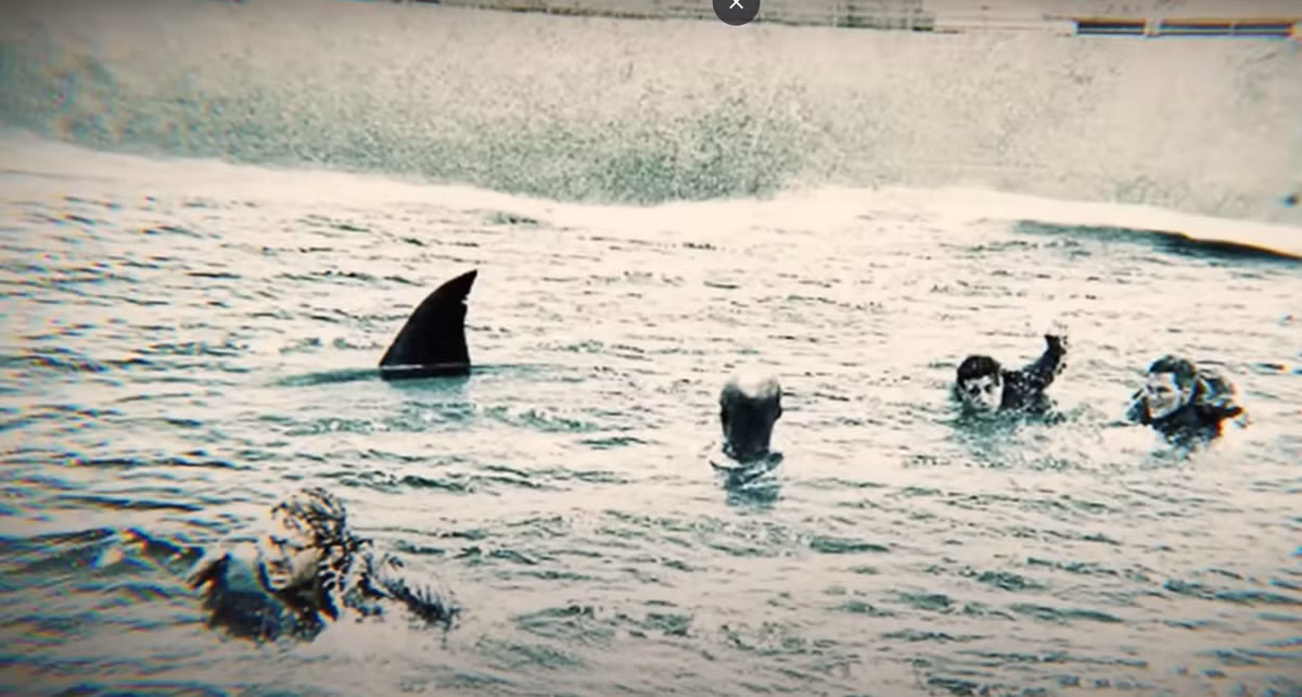 Bầy cá mập sau khi tấn công những người chết và bị thương dưới biển, chúng bắt đầu tấn công những người sống sót đang loay hoay trên mặt nước, bám vào các đống đổ nát. Ảnh: @Weird History.