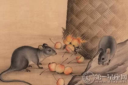 Tuổi Tý: Người tuổi Tý rất yêu tiền, luôn không ngừng nghỉ trong việc kiếm tiền.