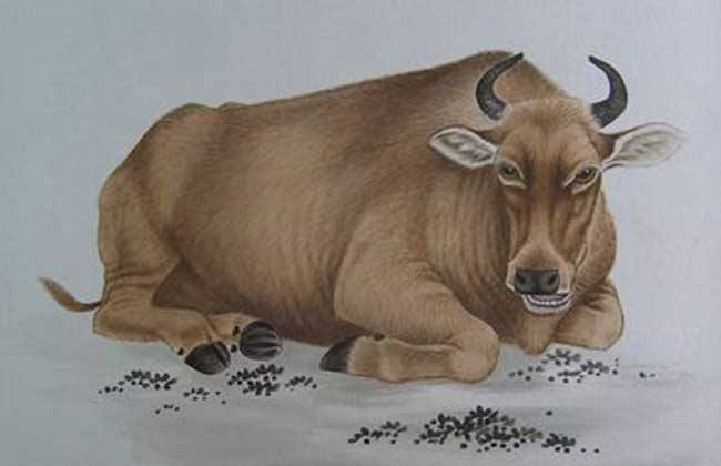 Ngoài ra, do bị hung tinh áp chế nên các mối quan hệ của con giáp này cũng xấu đi rất nhiều. Người tuổi Sửu cũng nên thận trọng hơn trong lời ăn tiếng nói để tránh họa thị phi.