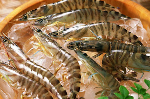 Ngay cả khi đầu tôm vẫn liền thân nhưng mềm nhũn, có mùi tanh nồng thì cũng không nên mua. Đây là dấu hiệu tôm bị ươn.