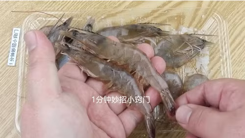 Tôm là thực phẩm có giá trị dinh dưỡng cao, giàu astaxanthin, protein, axit amin, vitamin và các nguyên tố vi lượng. Thịt tôm không chỉ thơm ngon, ăn lượng hợp lý còn giúp tăng cường hệ miễn dịch. (Ảnh: 1Minutecouptrips)