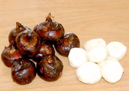 Hạt dẻ nước. Hạt dẻ nước hay còn gọi là củ mã thầy, ăn sống có vị giòn ngọt, nhiều người dùng làm món tráng miệng như một loại quả.