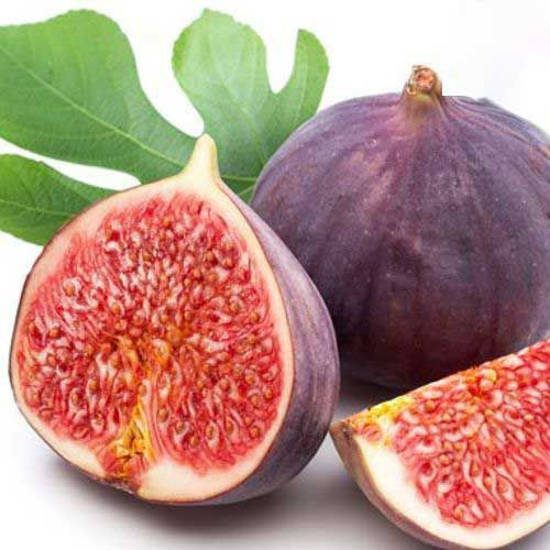 Quả sung. Không giống những loại quả khác nở hoa rồi kết trái. Sung kết trái trước rồi mới tạo hoa, vì vậy quả thực chất quả giả. Những sợi mềm mượt bên trong thực chất là nhị hoa mà nó nở ra.