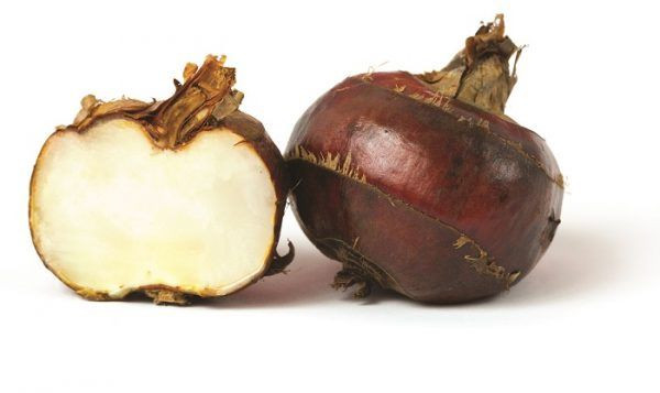 Tuy nhiên, hạt dẻ nước sinh trưởng gần bùn, dễ nhiễm kí sinh trùng như sán lá gan. Nhiễm sán lá gan dễ gây viêm đường tiêu hóa, thiếu máu, suy giảm thị giác, suy dinh dưỡng. Vì vậy, hạt dẻ nước nên được ngâm nước muối, bóc vỏ, nấu chín rồi thưởng thức.