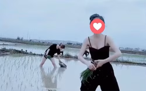 Tuy nhiên, thay vì tìm tòi, sáng tạo nội dung giá trị, nhiều người làm nội dung lại cho ra mắt sản phẩm dễ dãi, thậm chí có phần lố bịch để tạo tương tác.