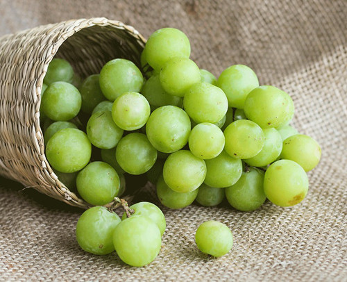 Ăn nho đúng cách giúp bổ khí huyết, bổ gan thận, có tác dụng dưỡng gan rất tốt. Bên cạnh đó, nho giàu vitamin C có thể hỗ trợ hiệu quả trong việc thúc đẩy sự trao đổi chất của gan, đẩy nhanh quá trình thải độc tố trong gan, giúp dưỡng gan, làm gan khỏe mạnh hơn.