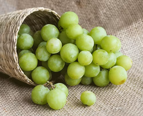 Ăn nho đúng cách giúp bổ khí huyết, bổ gan thận, có tác dụng dưỡng gan rất tốt. Bên cạnh đó, nho giàu vitamin C có thể hỗ trợ hiệu quả trong việc thúc đẩy sự trao đổi chất của gan, đẩy nhanh quá trình thải độc tố trong gan, giúp dưỡng gan, làm gan khỏe mạnh hơn.