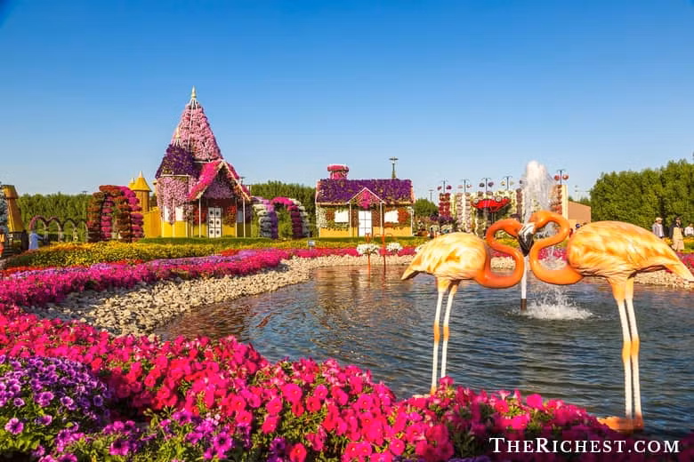 Dubai Miracle Garden tọa lạc trong khu vui chơi giải trí Dubailand là vườn hoa thiên nhiên lớn nhất thế giới, có diện tích hơn 72.000 m2.