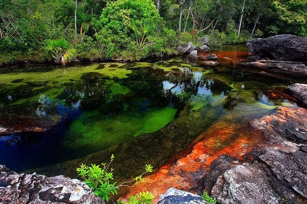 Dòng sông cầu vồng Cano Cristales ở Colombia khiến không ít du khách kinh ngạc.