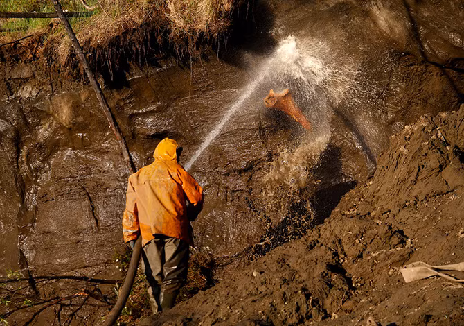 Những chiếc ngà voi và xương có thể tồn tại hàng chục nghìn năm khi chúng bị chôn vùi trong lòng đất.
