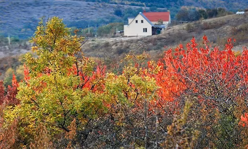 Màu sắc rực rỡ của cây cối vào mùa thu ở làng Klinovka, Simferopol.