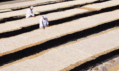 Phơi đậu phụ ở Hà Bắc.