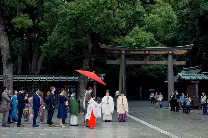 Đền Meiji, Tokyo được bao quanh bởi một khu rừng lớn, nằm trên vùng đất đắt nhất Nhật Bản. Ngôi đền luôn luôn bận rộn với các nghi thức, nghi lễ, các lễ kỷ niệm và là một nơi tốt để xem cuộc sống diễn ra ở Tokyo.