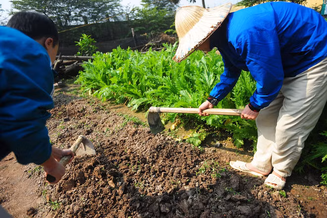 Can canh trung tam cai nghien tu nguyen dau tien o HN-Hinh-6