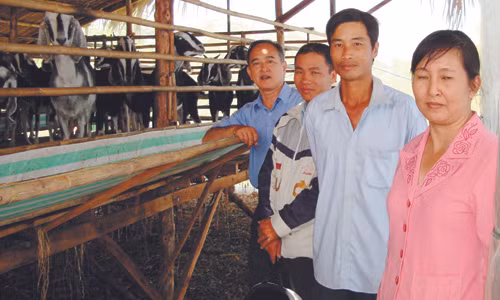 “Thay Mui” nuoi de lai-Hinh-2