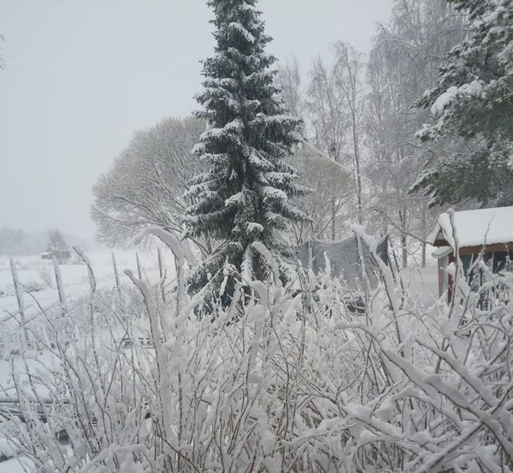 "Vâng. Tôi thích mùa xuân ở Phần Lan!", người đăng bức ảnh này viết.