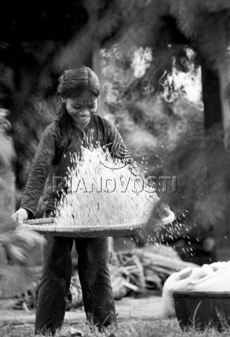 Bé gái sàng gạo trong mùa gặt ở Vĩnh Linh, Quảng Trị năm 1969.