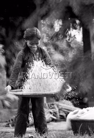 Bé gái sàng gạo trong mùa gặt ở Vĩnh Linh, Quảng Trị năm 1969.