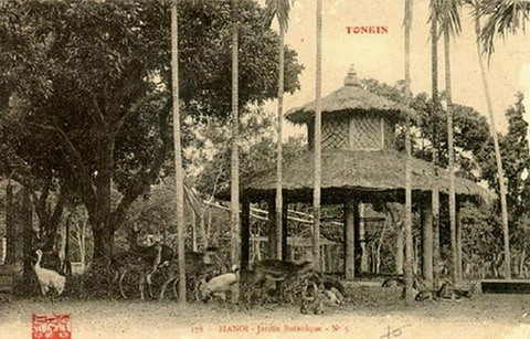 Lầu bát giác trong vườn Bách Thảo Hà Nội.