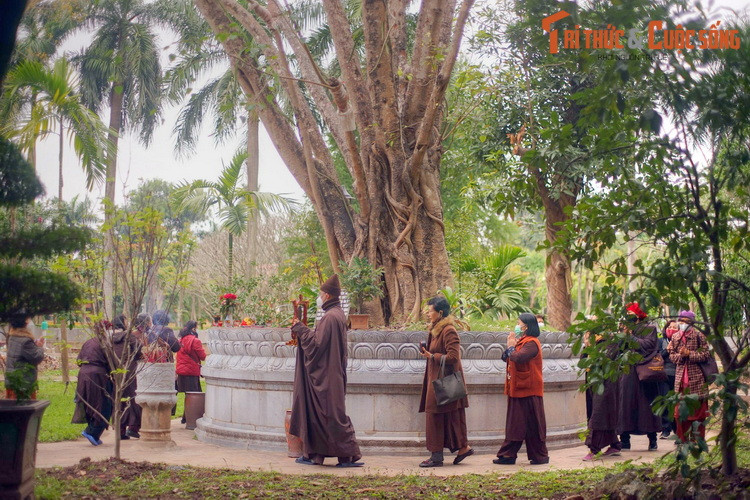 Bồ đề được xem là loài cây thiêng liêng trong Phật giáo. Tương truyền xưa kia, thái tử Tất-đạt-đa Cồ đàm đã ngồi thiền định dưới gốc cây mà đạt tới chân lý, đạt tới sự giác ngộ để trở thành Phật.