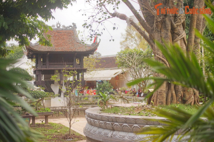 Sau khi về nước, Người đã đem trồng cây bồ đề trong sân chùa Một Cột. Có thể nói, đây là một biểu tượng cho tình hữu nghị bền vững giữa Việt Nam và Ấn Độ.