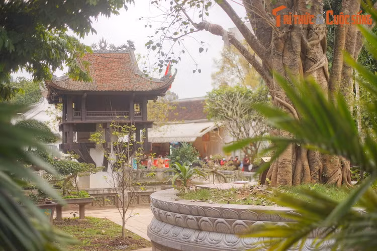 Sau khi về nước, Người đã đem trồng cây bồ đề trong sân chùa Một Cột. Có thể nói, đây là một biểu tượng cho tình hữu nghị bền vững giữa Việt Nam và Ấn Độ.