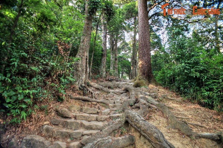Trong chuyến hành hương bằng đường núi ở non thiêng Yên Tử, du khách đi qua am Lò Rèn khoảng 200 mét sẽ gặp lối rẽ vào đường từng. Con đường này dài hơn 100 mét, nằm song song với trục đường chính của khu khu di tích.