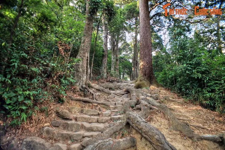 Trong chuyến hành hương bằng đường núi ở non thiêng Yên Tử, du khách đi qua am Lò Rèn khoảng 200 mét sẽ gặp lối rẽ vào đường từng. Con đường này dài hơn 100 mét, nằm song song với trục đường chính của khu khu di tích.