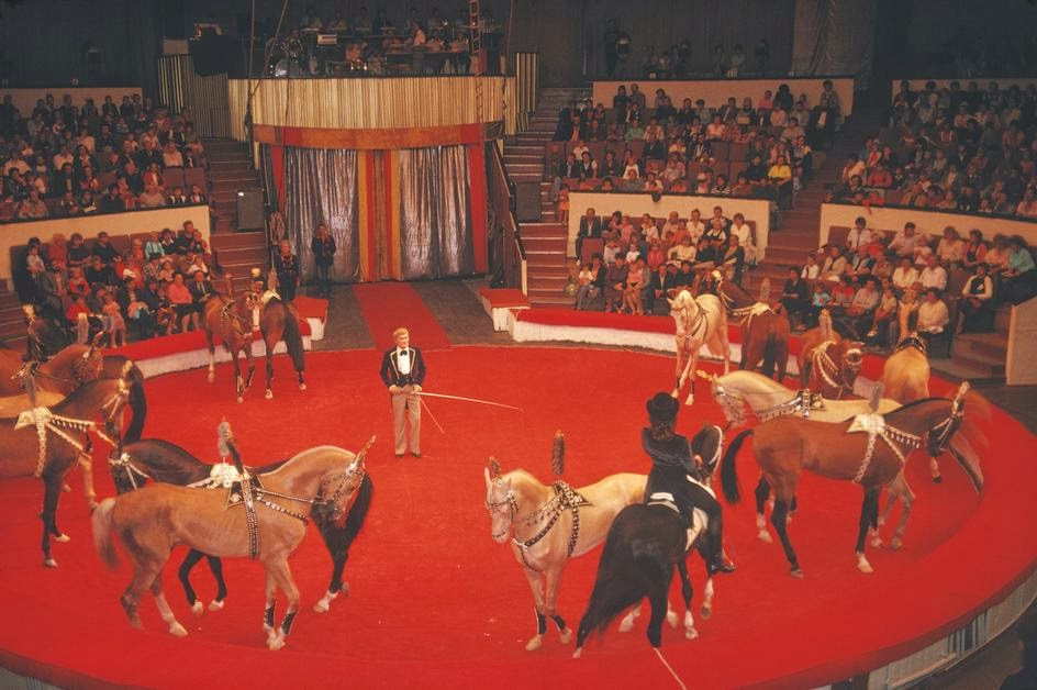 Tiết mục xiếc ngựa trong một rạp xiếc.