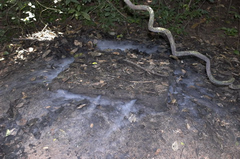 Việc nấu ăn trong hầm được thực hiện bằng một loại bếp đặc biệt, gọi là bếp Hoàng Cầm. Khói từ trong lò bếp bốc lên qua các đường rãnh chỉ còn dưới dạng hơi nước bay sát mặt đất và tan nhanh thay vì bốc lên không khí, nên trực thăng Mỹ không thể phát hiện ra, dù là vào giữa ban ngày.