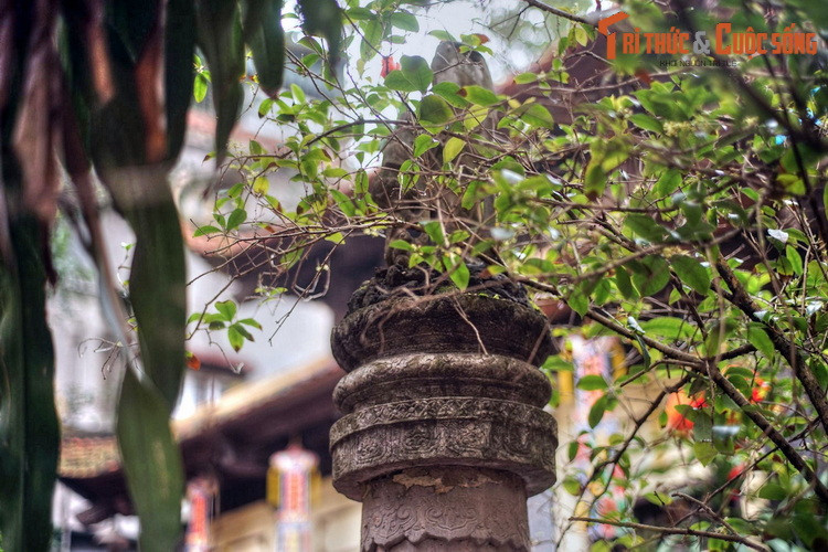 Trên một số phương diện, hiện vật có thể sánh ngang với Bảo vật quốc gia - cây hương đá chùa Tứ Kỳ, đang được bảo quản và trưng bày ở Bảo tàng Lịch sử Quốc gia.