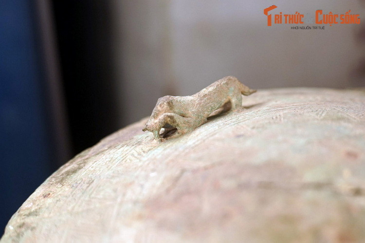 Sự hiện diện của những con hổ vồ mồi trên thạp đồng vừa mang tính trang trí, đồng thời cũng có thể phán ảnh một quan niệm tâm linh nào đó liên quan đến loài hổ của cộng đồng cư dân Đông Sơn.