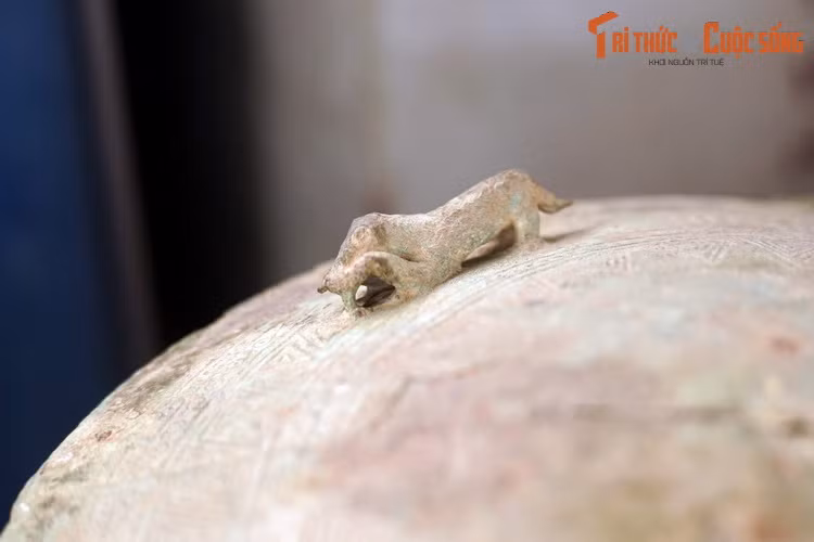 Sự hiện diện của những con hổ vồ mồi trên thạp đồng vừa mang tính trang trí, đồng thời cũng có thể phán ảnh một quan niệm tâm linh nào đó liên quan đến loài hổ của cộng đồng cư dân Đông Sơn.