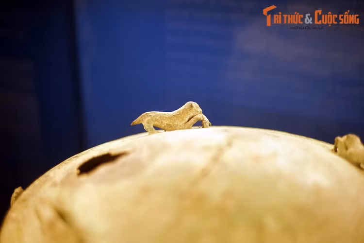 Dù có kích thước rất nhỏ, các khối tượng vẫn tái hiện được đặc trưng giải phẫu học của loài hổ, thể hiện óc quan sát sinh tế cũng như trình độ chế tác đồ đồng của người xưa.