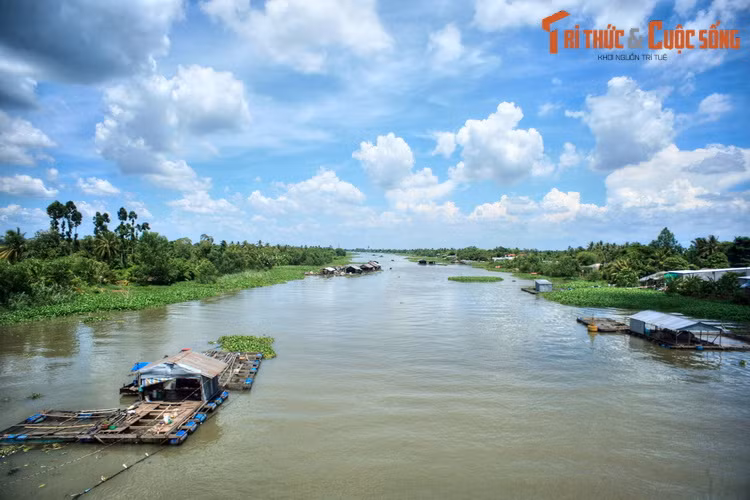 Khung cảnh bình yên trên một nhánh sông Tiền ở Đồng Tháp. Nằm ở đầu nguồn sông Cửu Long, Đồng Tháp có nguồn nước mặt khá dồi dào, nước ngọt quanh năm không bị nhiễm mặn.