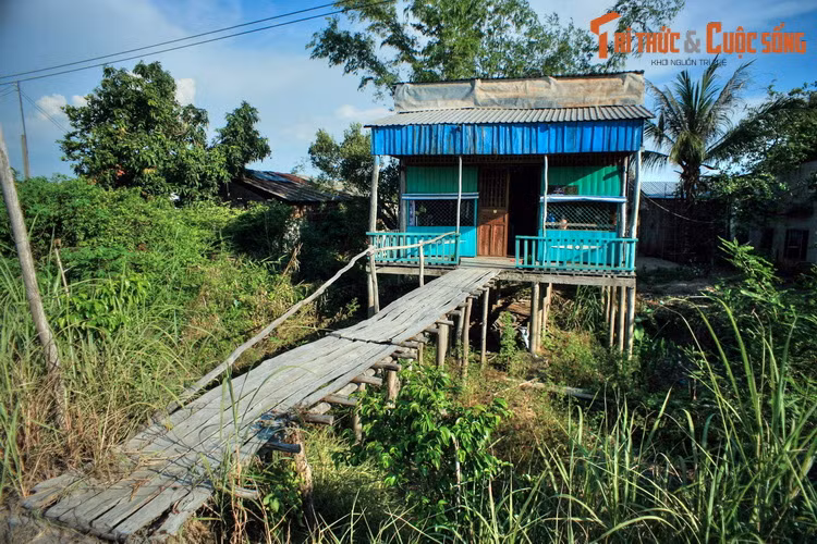 Những ngôi nhà sàn là hình ảnh quen thuộc ở Đồng Tháp. Ở miền Tây, nhà sàn phổ biến nhất ở các vùng ngập lũ như An Giang, Đồng Tháp. Nếu ở vùng núi nhà sàn giúp con người tránh thú dữ thì ở mảnh đất phương Nam nhà sàn là giúp tránh ngập mỗi khi nước về.