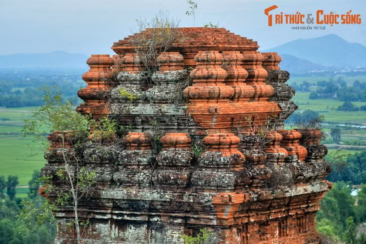 Mái tháp Bia có những hình quả bầu lọ trên các tầng với các khối cong nhịp nhàng, làm mềm đi những đường nét và hình khối cứng cỏi thường thấy ở các tòa tháp Chăm.