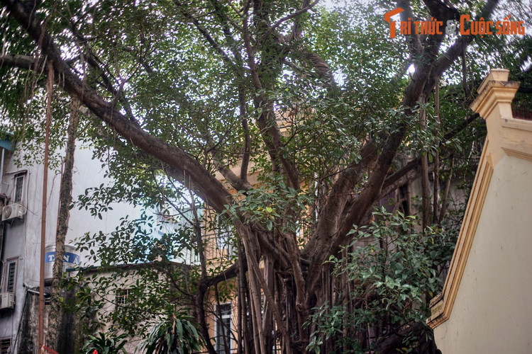 Sau đó, Ngọc Tường về quê mẹ ở làng Đại Bi (làng Đại Yên – Ngọc Hà ngày nay) và mất ở đó vào đêm 15 tháng chạp năm Giáp Thân (1104). Vua cho lập đền thờ Ngọc Tường và truy phong tước hiệu Ngọc Hoa Công chúa. Về sau người làng lập đình, tôn vinh bà là Thành hoàng...