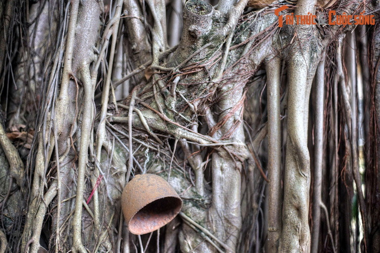 Khi tới vùng giao tranh, Ngọc Tường được giao nhiệm vụ vào trại địch dò la tin tức. Cô bé đã cải trang làm người bán trầu cau nên dễ dàng đi lại nắm tình hình, giúp quân ta đánh thắng kẻ địch.