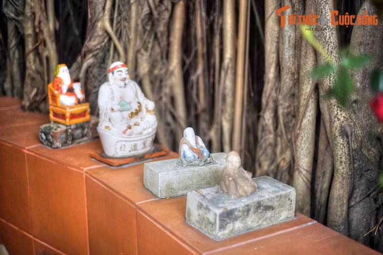 Sau hàng thế kỷ tồn tại, cây đa cổ thụ đình Đại Yên đã chứng kiến nhiều thăng trầm lịch sử, được dân làng Đại Yên coi như một báu vật mà tiền nhân để lại.