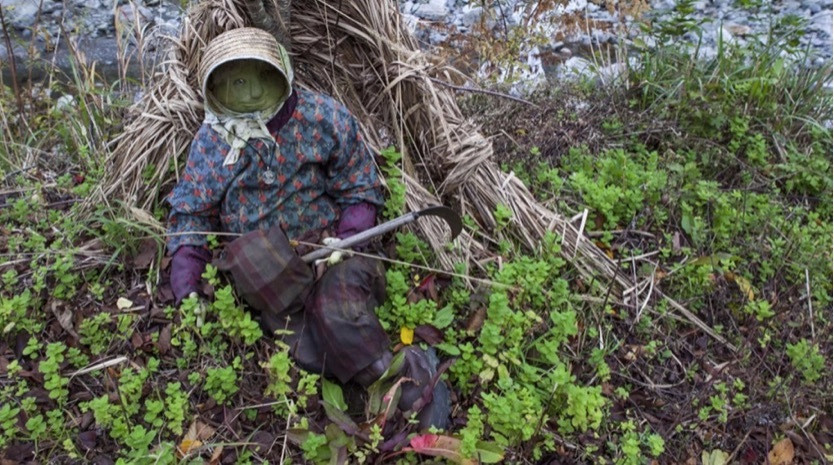 Bà Tsukimi Ayano bắt đầu làm người nộm cách đây 16 năm. Ban đầu, bà làm bù nhìn để ngăn chim chóc không ăn hạt củ cải. Người nộm đầu tiên được làm theo mẫu người mẹ đã mất của bà.